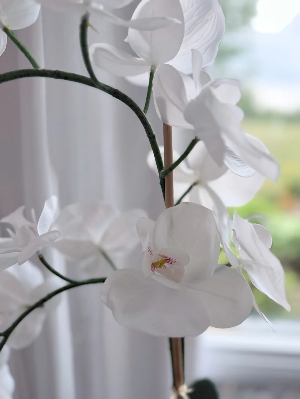 Pair of White Orchid Real Touch 29” in cement pots
